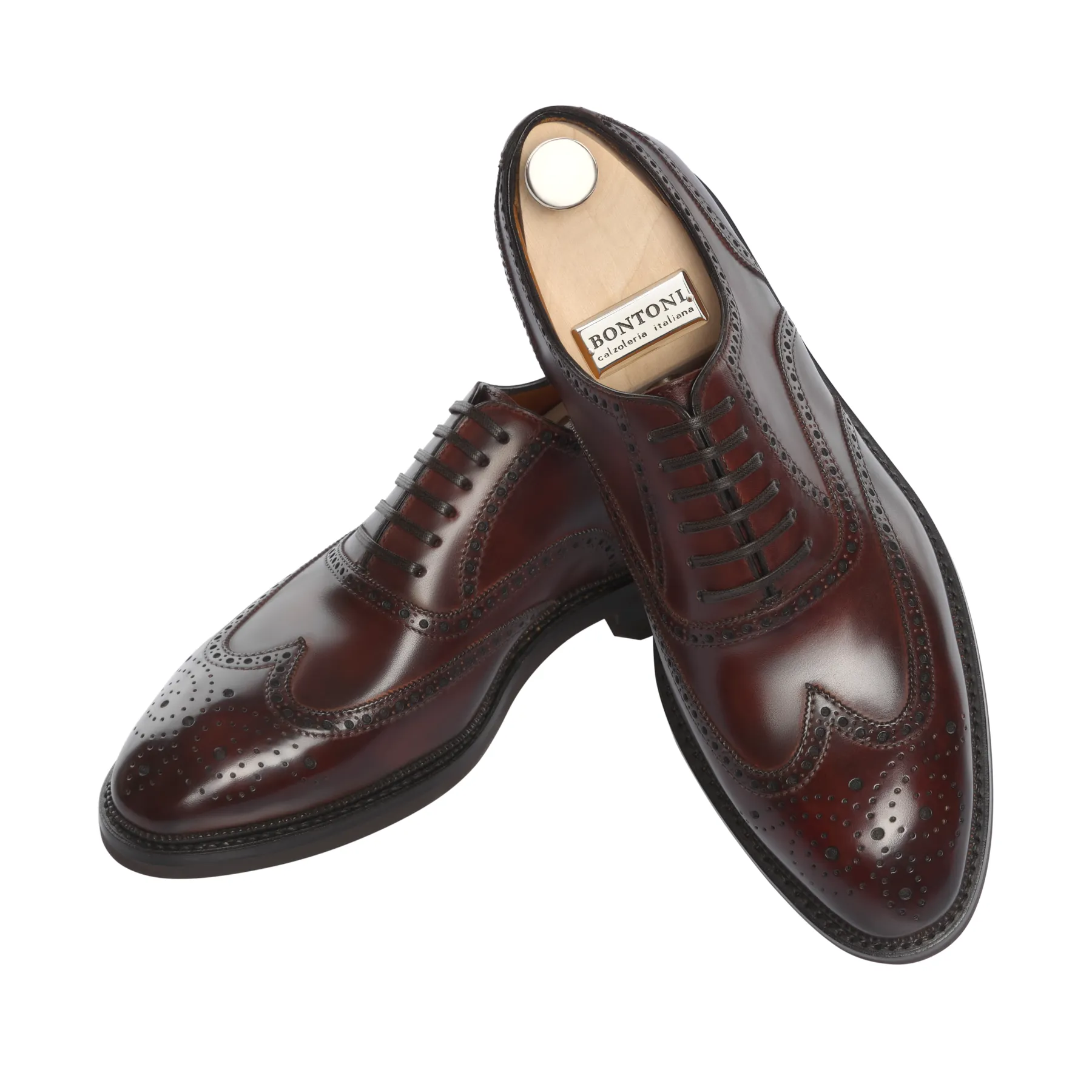 «Libertino» Six-Eyelet Oxford Shoes with Perforated Details and Medallion in Marrone Brown