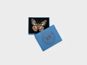 Lime Swallowtail Butterfly Brooch (251 / W / MULTICOLOR)
