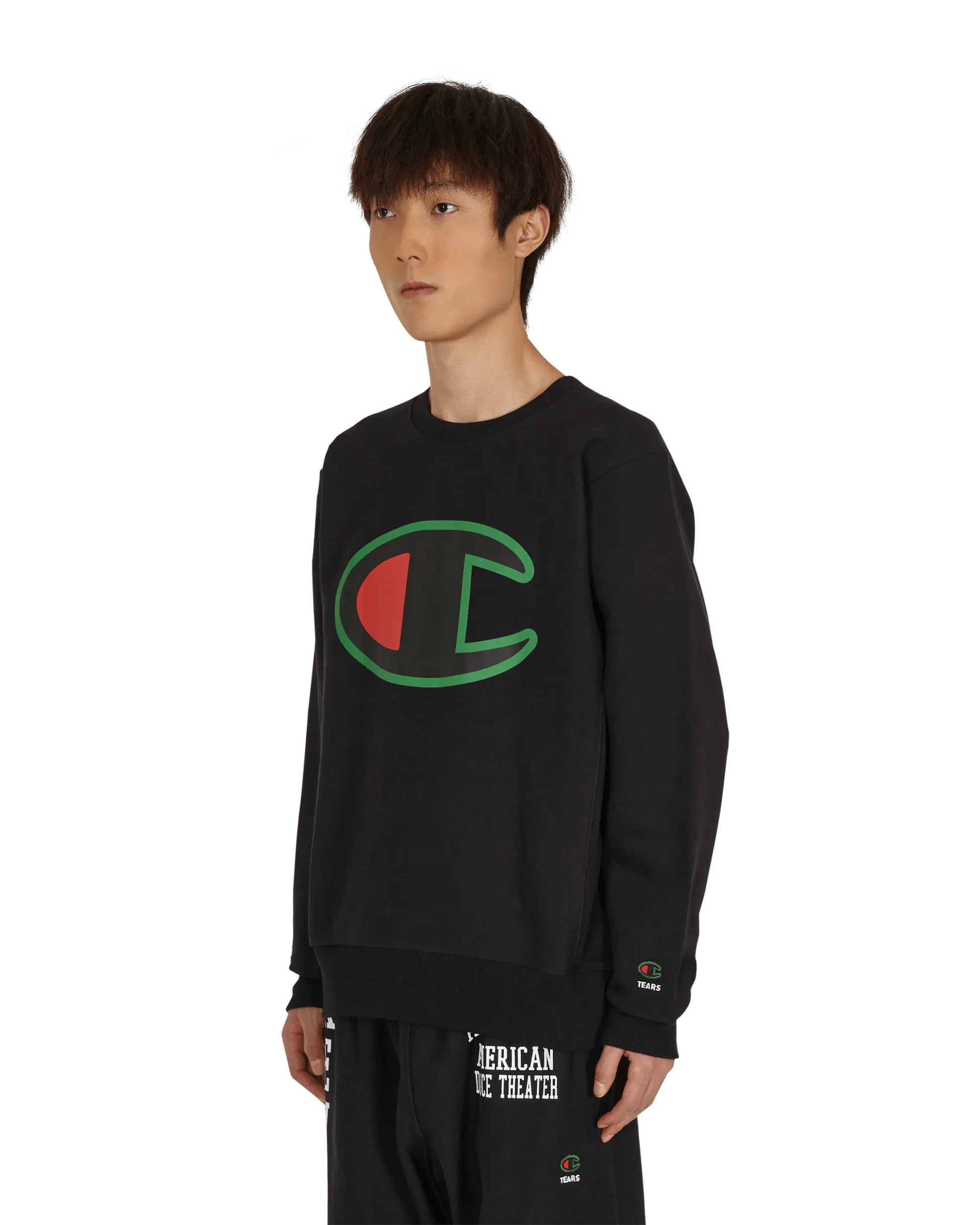 Logo Crewneck Sweatshirt Multicolor
