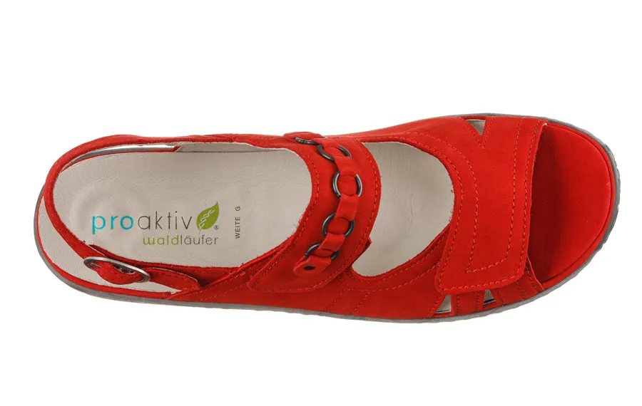 Wal Rockys Red