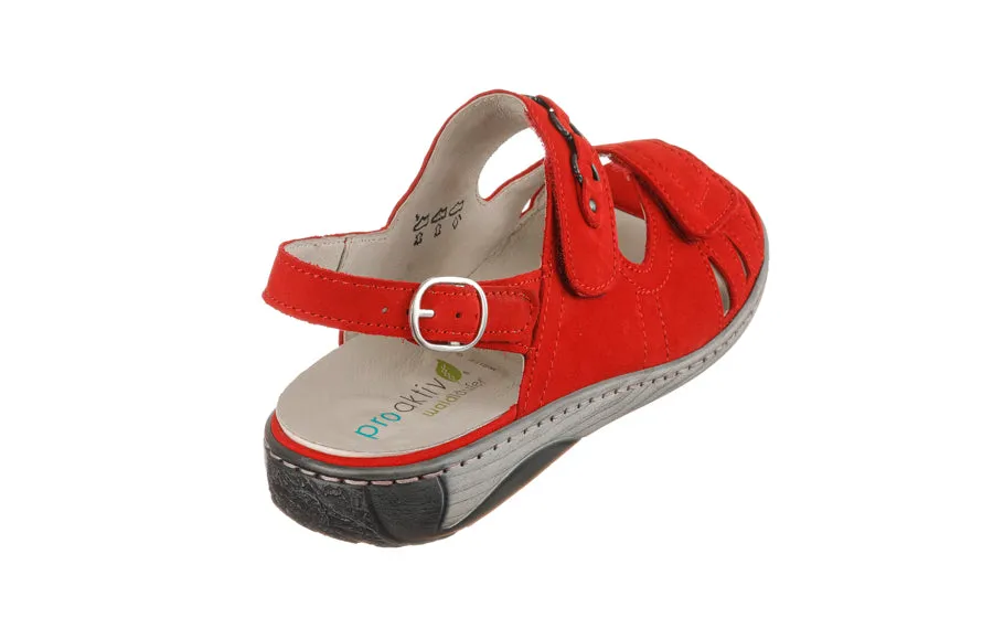 Wal Rockys Red
